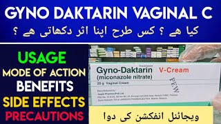 Gyno Daktarin Vaginal Cream Usage In Urdu Hindi  Vaginal Yeast Infection Treatment  Candidiasis [upl. by Aelsel]