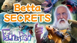 Master Aquarist Reveals His Betta Secrets [upl. by Barbabas]