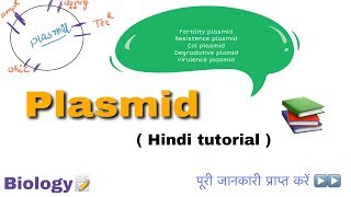 Plasmid in hindi ll biology ll [upl. by Napas]