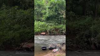 Maredumilli deep forest river crossing travel lovetotravel monsoon maredumilli [upl. by Sillig829]