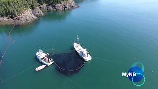 Herring Cove Campobello Island New Brunswick [upl. by Rolat]