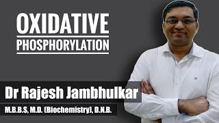 3 Oxidative Phosphorylation and Chemiosmotic hypothesis Biological Oxidation part 2 [upl. by Swirsky]