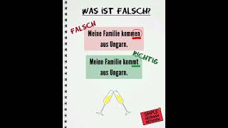 Was ist falsch  A1A2 Grammatik Deutsch  SingularPlural [upl. by Lichter504]