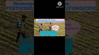 Homeopathic ALL IN ONE PesticideInsecticideFungicideagrohomeo [upl. by Hackathorn364]