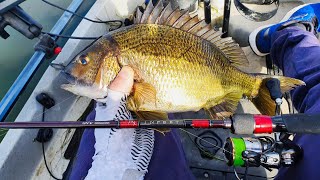 BREAM FISHING FOR BEGINNERS  Setup Tips amp Techniques [upl. by Pollard536]