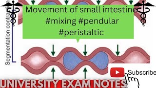 movements of small intestinetypes of small intestine movementsmedicoscontent3135 [upl. by Nel]