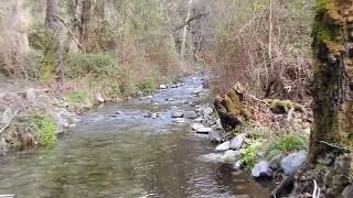 Cypriot Autumn at the tselefos bridge HD 1080p [upl. by Annohsal]