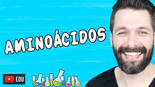 AMINOÁCIDOS  Bioquímica  Biologia com Samuel Cunha [upl. by Aivekal514]