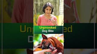 Unprovoked Dog Bite Dr கிருத்திகா ஸ்ரீனிவாசன் [upl. by Akinimod]