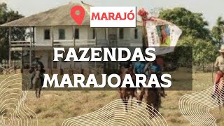 GRANDES FAZENDAS NO MARAJÓ [upl. by Dominy937]