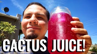 Making Prickly Pear Cactus Fruit Juice Its The Quenchiest [upl. by Oiliruam]