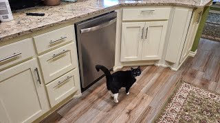 Midea 24quot stainless steel dishwasher from Lowes  any good 2year review [upl. by Neyud]