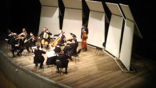 Edward Elgar  Serenade for Strings op20  mi minor  Hanover Chamber Orchestra  AKostecki [upl. by Notlit]