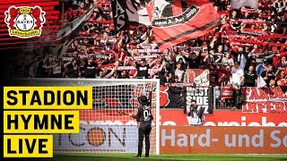 MIT DEM KREUZ AUF DER BRUST  Offizielle Hymne live  Dirk Maverick  Bayer 04 Leverkusen [upl. by Brandenburg]