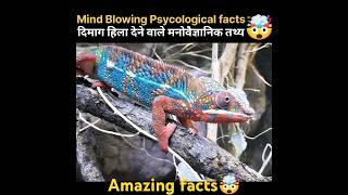 Mind Blowing Psychological Facts 🤯🧠 Amazing Facts  Human Psychology facts MyselfRohit Shorts [upl. by Ecenahs397]