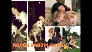 KÖPEK SAHİPLENMEK  Bakımı Uyuz Tedavisi Tuvalet Pati Temizliği [upl. by Derej]