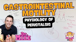 Motility of the Gastrointestinal Tract  Peristalsis Physiology [upl. by Kurth]