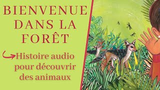 Bienvenue Dans La Forêt  Histoire animaux pour Petit  Histoire audio enfant [upl. by Ellasal]