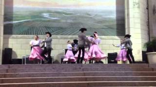 Ballet Folklorico UTPA [upl. by Ludvig]