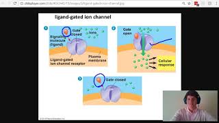 MCAT Question of the Day Membrane Receptors [upl. by Buyer145]