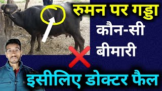 रुमन पर गड्डा बनना  impaction of rumen in buffalo treatment  megsulf  paraffin  anorexia [upl. by Carlota]