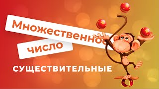 Множественное число \ Существительные [upl. by Keelia]