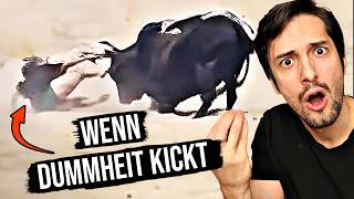 Dumme Menschen VS gefährliche Tiere Biologe reagiert 2 [upl. by Jocelyne344]