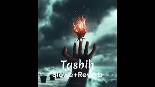 Tasbih SloweReverbb Rooh Khan New Song 2023 [upl. by Swanhilda]