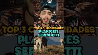 PLANICIES SERINGETTI  TOP 3 CURIOSIDADES [upl. by Ahsiekim]