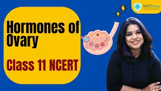 Hormones of the Ovary Class 11 Biology Explained [upl. by Garland]