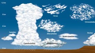 ☁️⛈️Types of clouds⛅ [upl. by Ahsenet]