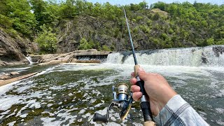 This River Dam is LOADED with Fish [upl. by Sadoff]