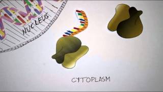 What is RNA interference RNAi [upl. by Eyahc]