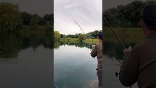 Big carp locating catching and landing carpfishing carpfishing2024 [upl. by Enihpesoj]