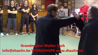 GM W Toch with relation Taiji Chen and Wing Chun and use the Fajin on his workshop [upl. by Netsrijk667]