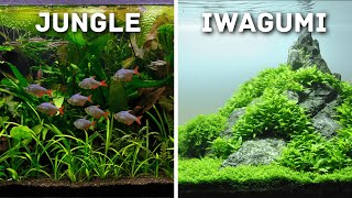 MustTry Aquascaping Styles for Your Planted Aquarium [upl. by Nirol]