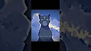 Swiftpaw edit  yt messed up the quality  warriorcats swiftpaw warriors [upl. by Carr]