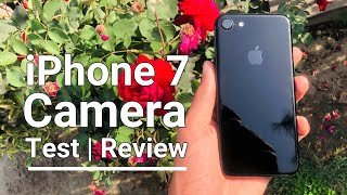 iPhone 7  Camera amp Video Test 4K  Full Review [upl. by Ellene]