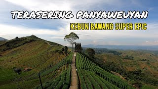 KEBUN BAWANG NAN SUPER EPIC  TERASERING PANYAWEUYAN MAJALENGKA [upl. by Ardnod]