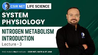 Nitrogen Metabolism Introduction  Plant Physiology for CSIR NET Life Science [upl. by Mussman286]