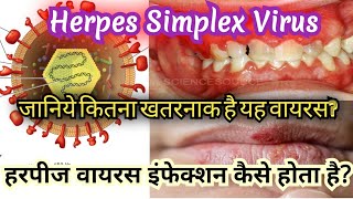 Herpes simplex virus pathogenesis amp clinical symptoms  HSV1 amp HSV2 in hindi [upl. by Werra]