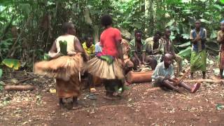 Traditional Baka womens dance East region Cameroon [upl. by Neelra]