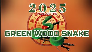 2025 CHINESE HOROSCOPE overview 2025 is the year of the green wood snake horoscope prediction 2025 [upl. by Severn]