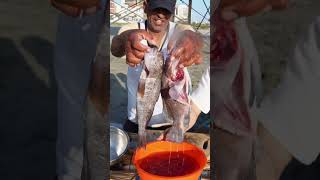 Ceviche de pescador buenazo peru chiclayo receta comidaperuana [upl. by Mayworm357]