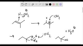 Write equations for the hydration of 2 methyl 2 butene and 2 pentene What is the function of the su [upl. by Radbun]