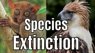 SPECIES EXTINCTION  Causes of Species Extinction Grade 9 [upl. by Ahsiemaj984]