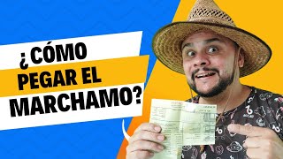 ¿Cómo pegar el marchamo correctamente [upl. by Kyred312]