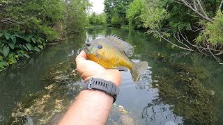 The Best Bluegill Bait that’s not Worms You’ll be Shocked [upl. by Hgielime]