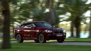 BMW X4 G02 [upl. by Kurth]