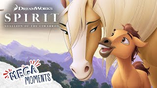 Spirit Is Born 🍼  Spirit Stallion of the Cimarron Here I Am Full Song  Movie  Mega Moments [upl. by Etteuqram]